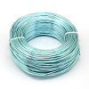 Round Aluminum Wire AW-S001-1.0mm-24-1