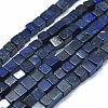 Natural Lapis Lazuli Beads Strands G-F631-C10-1