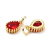 Brass Micro Pave Cubic Zirconia Pendants ZIRC-D120-01G-02-3