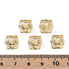 Transparent Acrylic Beads MACR-S373-132-B09-4