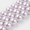 Shell Pearl Beads Strands X-BSHE-K011-8mm-MA722-1