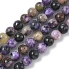 Natural Charoite Beads Strands G-C270-O03-02-2