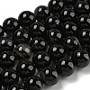 Natural Black Agate Beads Strands G-G391-10mm-01-2