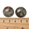 Natural Africa Bloodstone Cabochons G-C115-02A-39-3