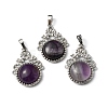 Natural Amethyst Pendants G-P498-01P-05-1