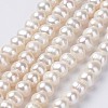Natural Cultured Freshwater Pearl Beads Strands PEAR-D187-15-1