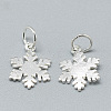 925 Sterling Silver Charms STER-T002-290S-2