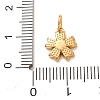 304 Stainless Steel Micro Pave Clear Cubic Zirconia Charms LS-CU-CBAB6EC-24G-3