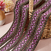 Ethnic Style Embroidery Polyester Ribbons OCOR-WH0070-10E-10-4