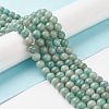 Natural Amazonite Beads Strands G-K068-03-8mm-01-4