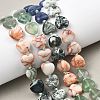 Gradient Color Natural Quartz & Fluorite & Tree Agate & Blue Aventurine & Red Netstone Beads Strands G-B185-A04-2
