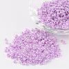 8/0 Ceylon Round Glass Seed Beads X-SEED-A011-3mm-150-1