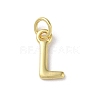 Rack Plating Brass Charms KK-P245-06G-L-1