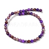 Dyed Natural Regalite/Imperial Jasper/Sea Sediment Jasper Beads Strands G-B124-C04-09-3
