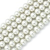 Eco-Friendly Dyed Glass Pearl Round Beads Strands X-HY-A002-10mm-RB009-1