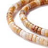 Natural Crazy Lace Agate Beads Strands G-A201-A05-3