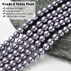 Eco-Friendly Dyed Glass Pearl Round Beads Strands HY-A008-8mm-RB116-3