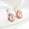 Oval Alloy Rhinestone Leverback Earrings FS-WG5DBAA-02-1