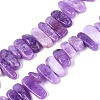 Dyed Natural Quartz Beads Strands G-Q606-24A-08-1