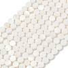 Natural Freshwater Shell Beads Strands SHEL-K010-03-1
