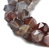 Natural Botswana Agate Beads Strands G-NH0002-C01-02-4