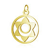 PVD Vacuum Plating 304 Stainless Steel Pendants STAS-S105-T525G-1