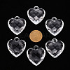 Transparent Acrylic Pendants TACR-T024-03B-205-3