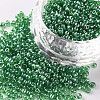 (Repacking Service Available) Glass Seed Beads SEED-C015-2mm-107B-1