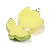 Translucent Resin Pendants RESI-G078-01E-2