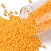 TOHO Round Seed Beads SEED-TR11-0148F-1