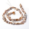 Natural Sea Shell Beads S00C50A2-2