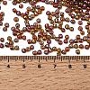 8/0 Round Glass Seed Beads SEED-J011-F8-171-4