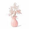 Natural Gemstone Chips and  Ceramic Vase Display Decorations DJEW-B007-01A-2