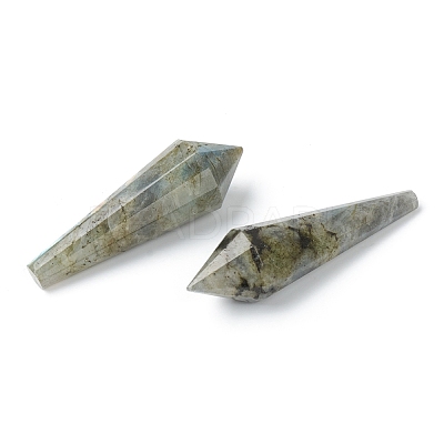 Natural Labradorite Beads G-H256-05-1