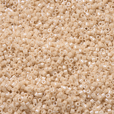MIYUKI Delica Beads SEED-X0054-DB0205-1