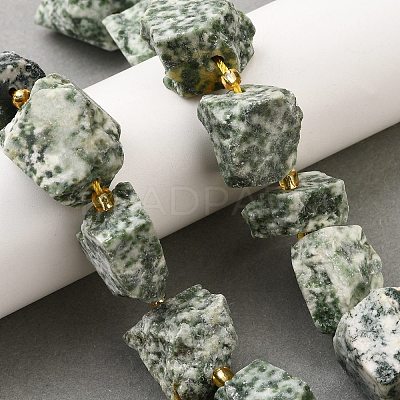 Raw Rough Natural Green Spot Jasper Beads Strands G-Z087-B16-1