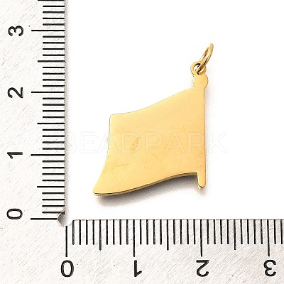 Pride 304 Stainless Steel Enamel Pendants STAS-B079-01G-08-1