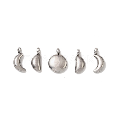 5Pcs 304 Stainless Steel Charms X-STAS-M017-14P-1