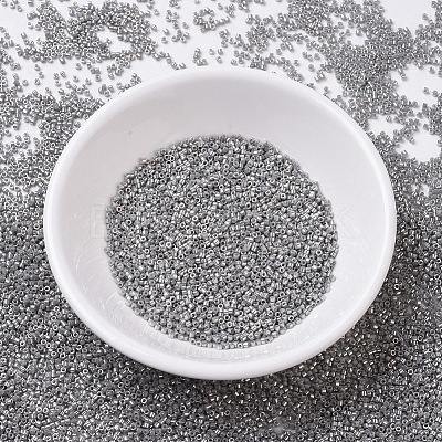 MIYUKI Delica Beads X-SEED-J020-DB0251-1