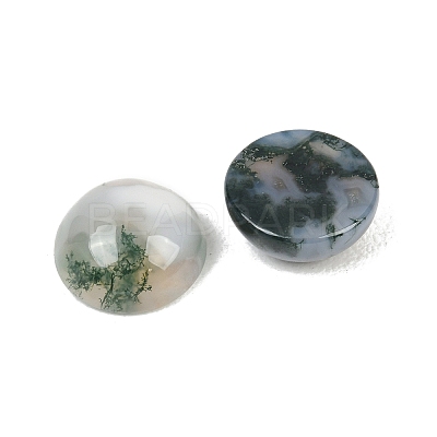 Natural Moss Agate Cabochons G-D367-01A-01-1