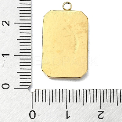 Ion Plating(IP) 304 Stainless Steel Pendants STAS-B058-02G-04-1