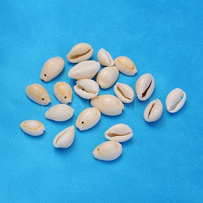 Natural Cowrie Shell Beads BSHE-S055-1