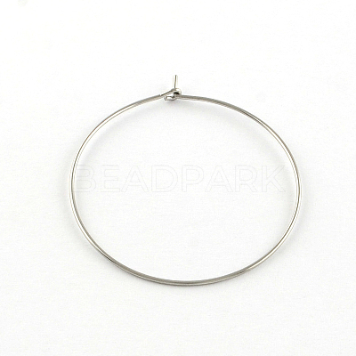 Tarnish Resistant 304 Stainless Steel Earring Hoop STAS-R083-01-1