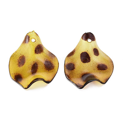 Transparent Acrylic Pendants X-TACR-N006-31-1
