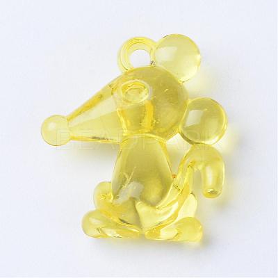 Transparent Acrylic Pendants TACR-S132-21-1