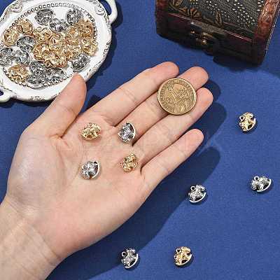 Tibetan Style Alloy Pendants FIND-FZC0006-003AS-1