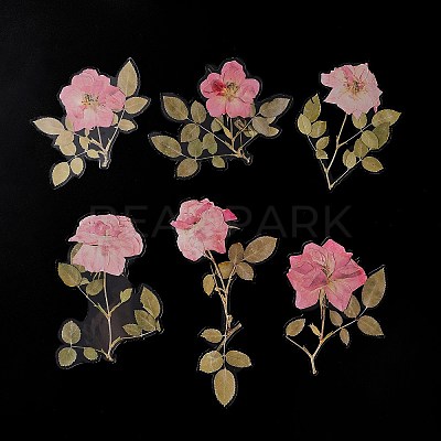 6Pcs Plant PET Adhesive Waterproof Stickers DIY-K074-01B-1