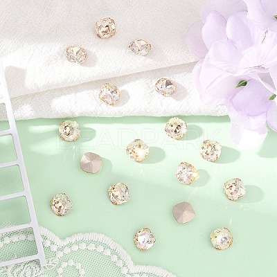 Preciosa® MAXIMA Crystal Fancy Stones X-PRC-FC12-00030-235-1