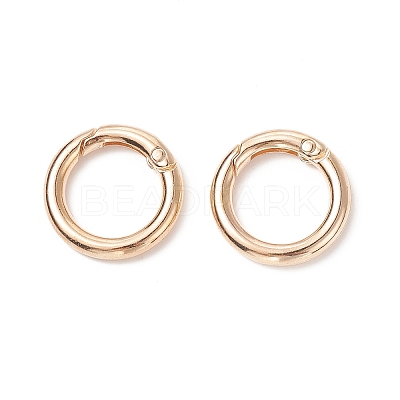Alloy Spring Gate Rings PALLOY-O058-01-1