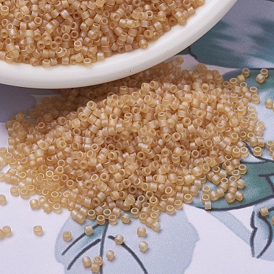 MIYUKI Delica Beads SEED-X0054-DB0852-1